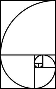 disegno spirale logaritmica