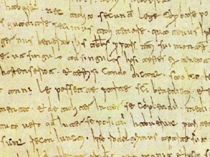 Placito Capuano documento