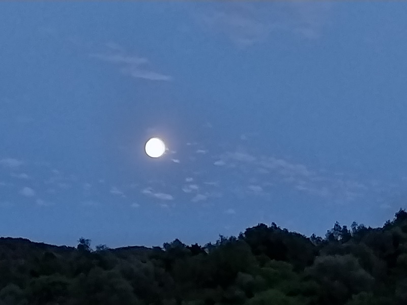 vediamo sempre la stessa faccia della Luna