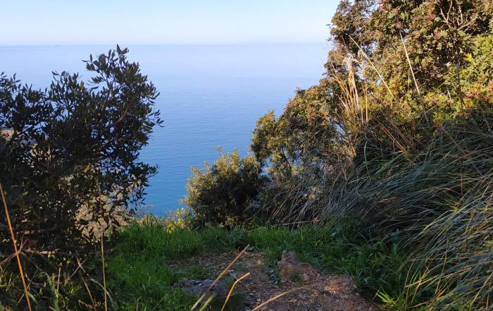 Mentre in Maremma